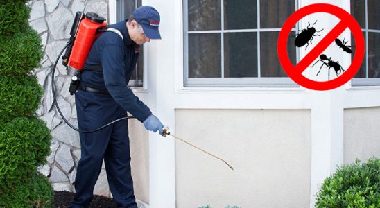 Basınsitesi Bit İlaçlama böcek ilaçlama ve haşere kontrolü — ilaclama-tr.com